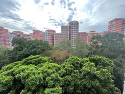 Blk 512 Elias Parks Estate (Pasir Ris), HDB 5 Rooms #483050761